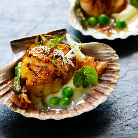 Frozen Scallops