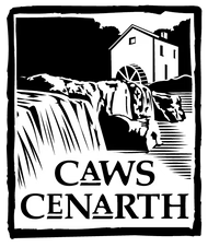 Caws Cenarth The Cheese Board